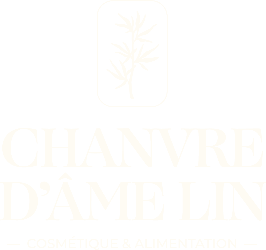 Logo Chanvre d'Ame Lin